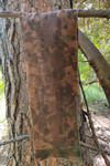 eco print on cotton fabric