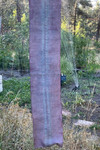 Naturally dyed light blue and purple scarf with shibori accenting down the center