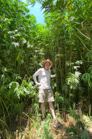 Hemp clothing made with US fibers still faces complex obstacles.  Hemp clothing made with US fibers still faces complex obstacles.