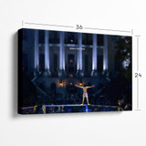 Diego Lopes HISTORIC framed canvas art — Born For This UFC White House event collection