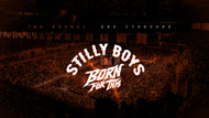 STILLY BOYS