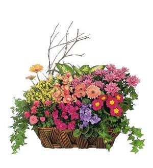 Woodland Greens Basket Pittsburgh Pennsylvania Florist