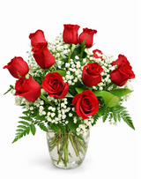 The Safest Flowers for Cats