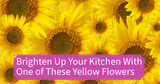 Brighten Up Your Kitchen With One of These Yellow Flowers