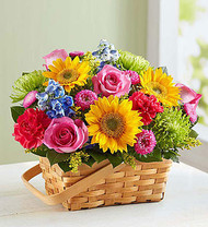 What Flowers Are in Season Right Now?