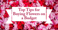 Top Tips for Buying Flowers on a Budget