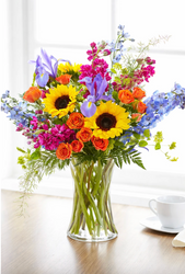 How to Choose Sustainable and Eco-Friendly Flowers