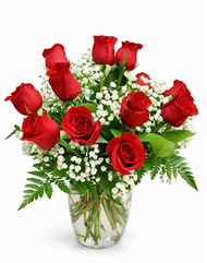 The Safest Flowers for Cats