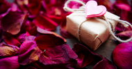 Why Are Flowers So Special to Receive on Valentine's Day?