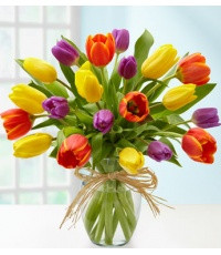 Mixed Tulip Vase
