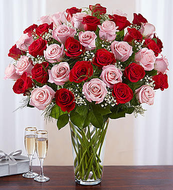Half Dozen Long Stem Red Roses with Babies Breath - Gidas Flowers