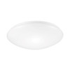 32W LED Surface Mounted 390mm Ceiling/Wall Light Dual 3000K/4000K IP44 Dimmable