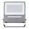 Raiden LED IP66 Aqua Floodlight Grey 221W 28800lm 4000K Asymmetric 110 x 50 Deg DALI
