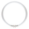Bell T5 Circular 22W 830 Warm White