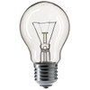 Bell GLS 100W Clear ES Rough Service