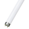 Narva Octron 2' T8 17W Warm White 730