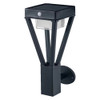 LED Black Bouquet Wall Light Solar Powered with Sensor 6W 3000K IP44