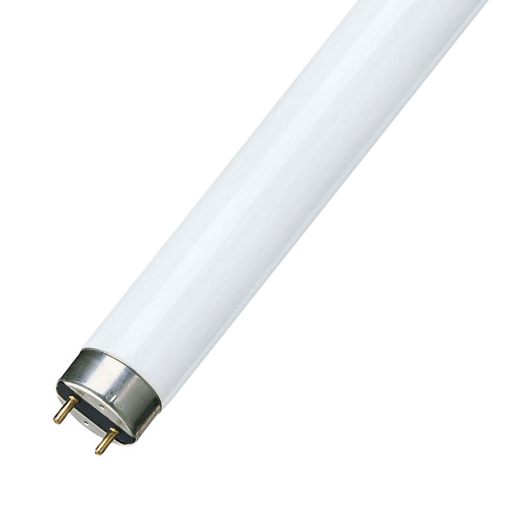 36W T8 4000k Tube 4ft