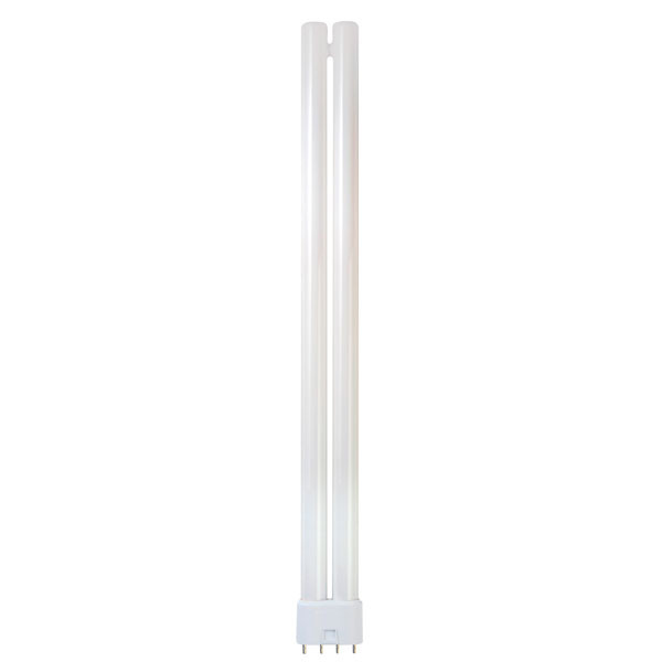 PL-L linear 4-Pin 240v 36W 4,000k