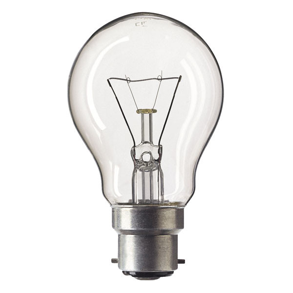 Rough Service 240V 40W Clear BC