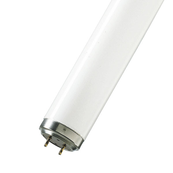 WSL 6' 75/85W White