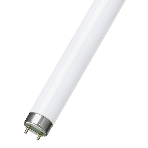 Osram Fluorescent Tube 4 foot 36w Warm White