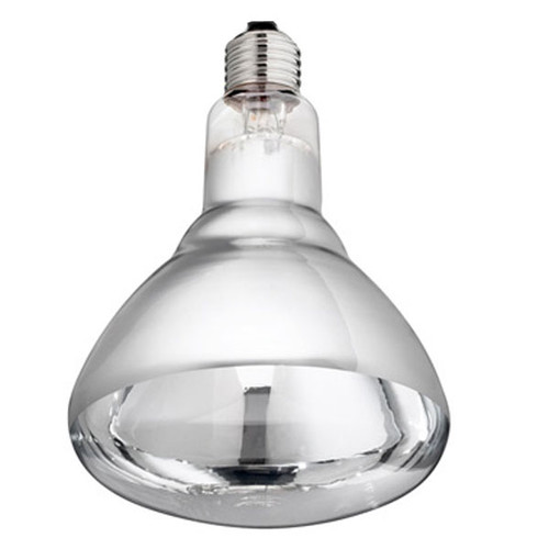 Infra Red 240V 250W E27 Clear Infra Red 240V 250W E27 Clear