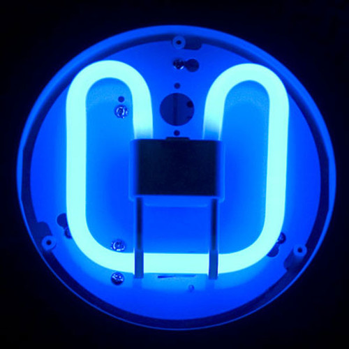 Crompton 2D 16W 2 PIN BLUE Crompton 2D 16W 2 PIN BLUE