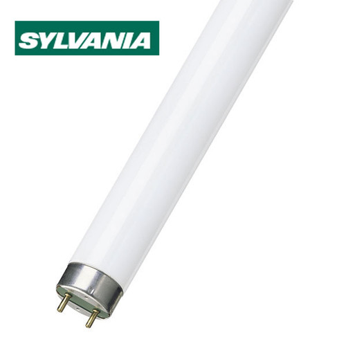 Sylvania 5' 58W C865 Daylight