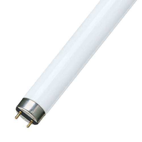 58W T8 4000K Tube 5ft