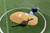 Portolite tan two piece 10 inch pitching game mound.