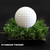 Symbior Putting Green Fringe Turf