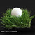 Best Cut Putting Green Fringe Turf