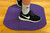 Indoor Sticky Mat Purple Indoor Sticky Mat Purple