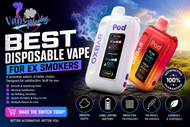 Best Disposable Vape for Ex Smokers: The 2026 Transition Guide