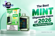 The Best Mint Disposable Vapes of 2026: Top Refreshing Picks