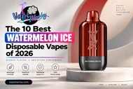 The 10 Best Watermelon Ice Disposable Vapes of 2026