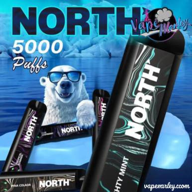 NORTH NIC 5% RECHARGEABLE DISPOSABLE 10ML 5000 PUFFS