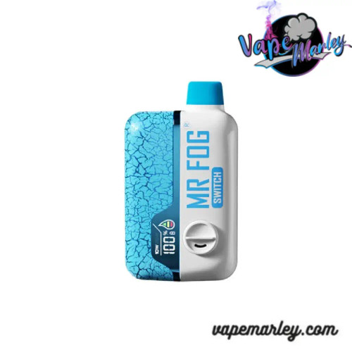 Blueberry Must Mr Fog Switch 15000