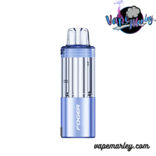 Purple Passion Punch Foger Switch Pro 30K Puffs Disposable - Only Pod