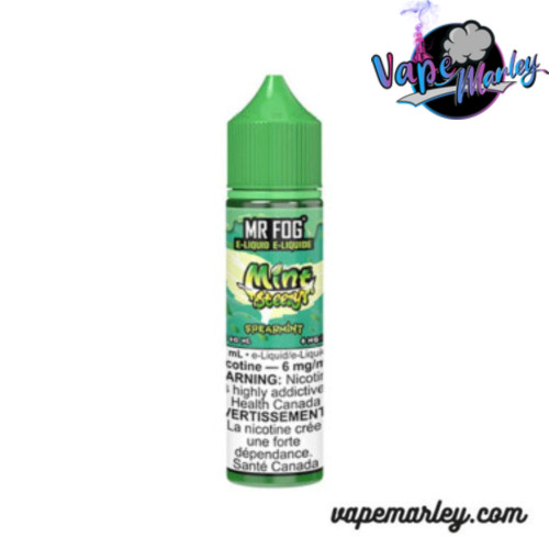 Spearmint Mr Fog Mint Steezy