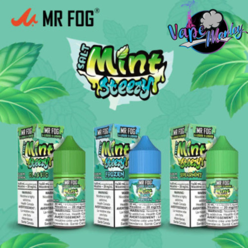 Mr Fog Salt E Liquid Mint Steezy