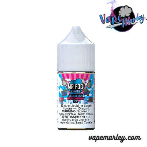 Blueberry Dragonfruit Ice Mr Fog Synthetic Nicotine