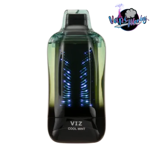 Cool Mint Lost Mary Viz 55K Puffs Disposable Vape
