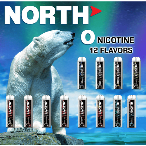 NORTH 5000 PUFFS ZERO NICOTINE