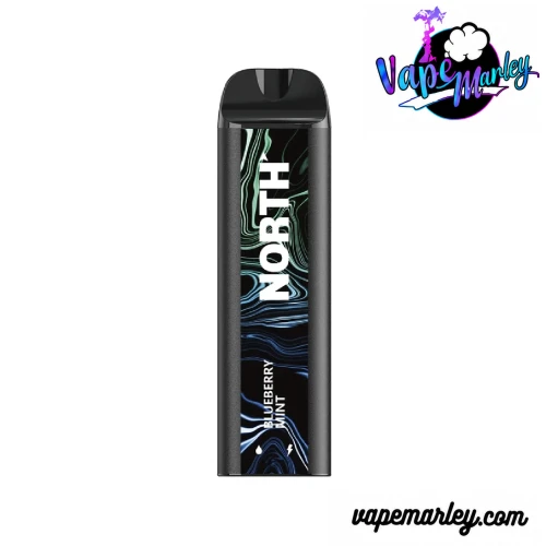 Blueberry Mint North 5000 Puffs Disposable Vape