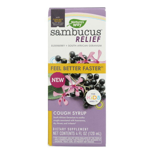 Nature's Way - Sambucus Kids Syrup - 1 Each-4 FZ