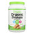 Orgain Organic Plant  Based Protein Powder -Peanut Butter - 1 Each - 2.03 LB