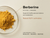 +PlusHLTH ReShape Metabolic Balance, Berberine + OEA + Cinnamon, 60 Capsules