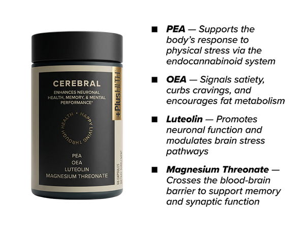 +PlusHLTH Cerebral Cognitive Support, PEA + OEA + Luteolin, 60 Capsules